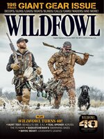 Wildfowl